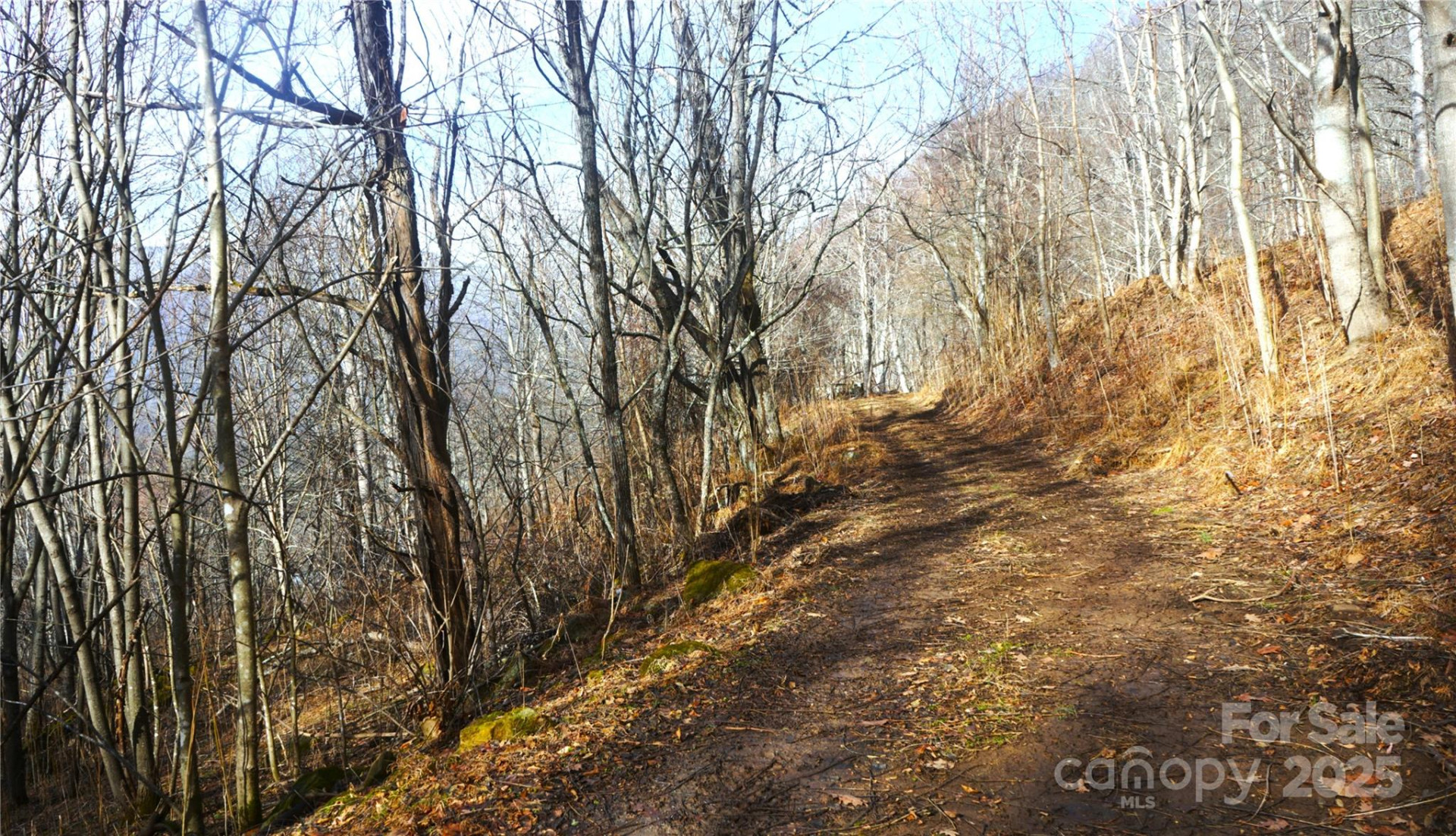 SR-1386 Sang Branch, Hog Branch Road - Photo 14