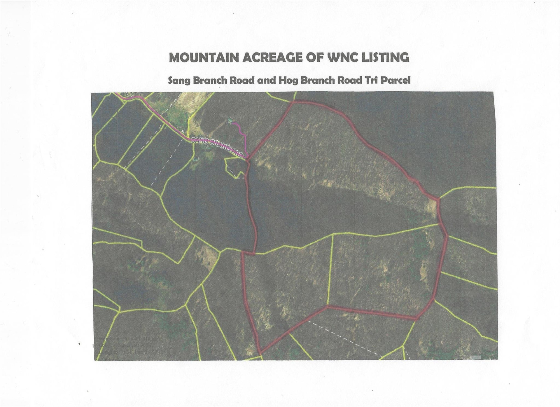 SR-1386 Sang Branch, Hog Branch Road - Photo 15