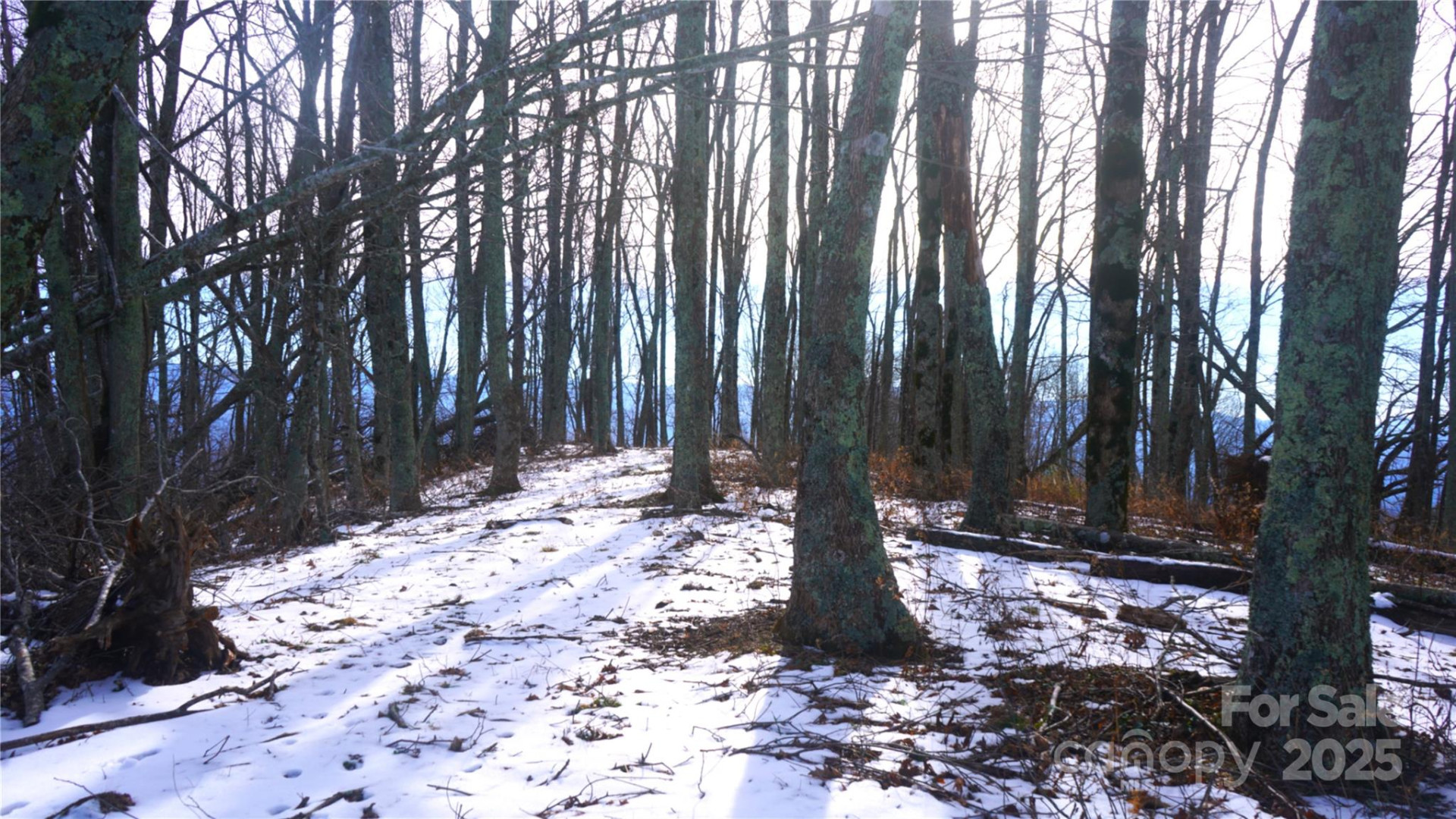 SR-1386 Sang Branch, Hog Branch Road - Photo 3