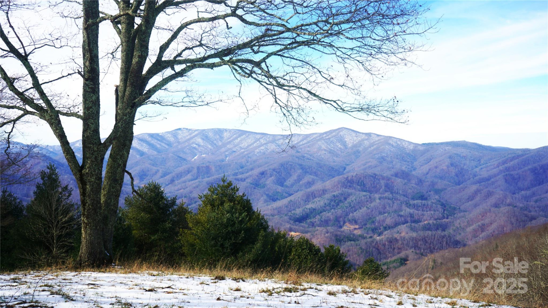 SR-1386 Sang Branch, Hog Branch Road - Photo 4