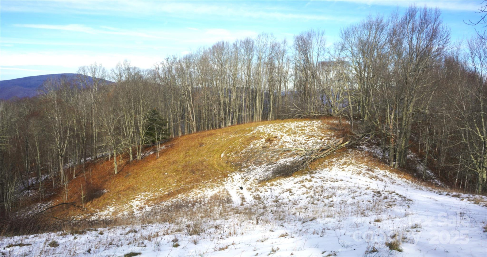 SR-1386 Sang Branch, Hog Branch Road - Photo 5