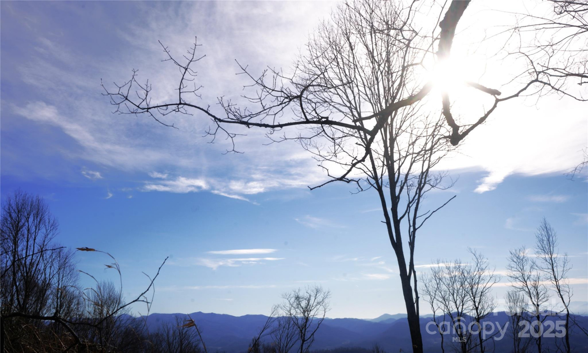 SR-1386 Sang Branch, Hog Branch Road - Photo 6