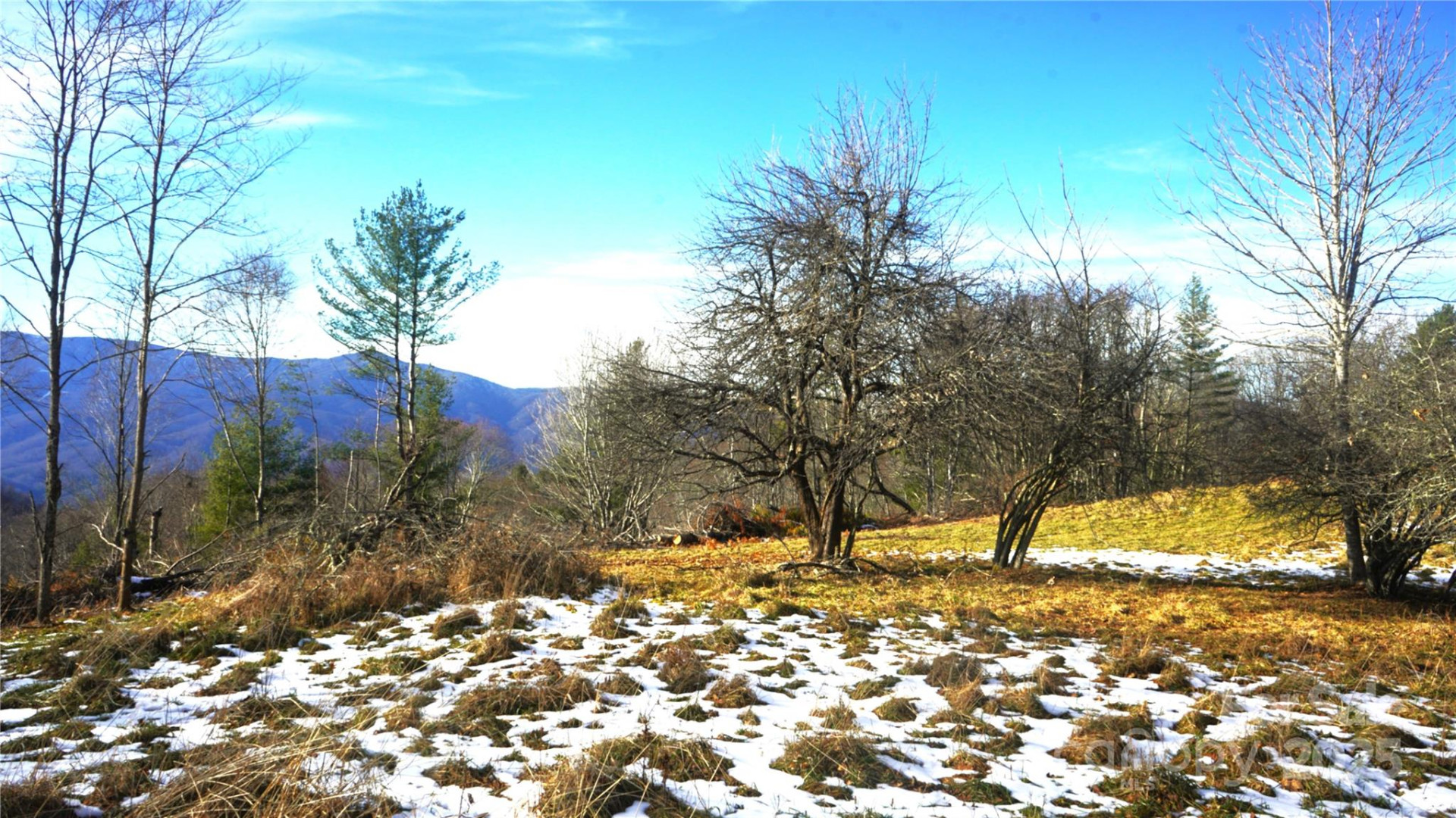 SR-1386 Sang Branch, Hog Branch Road - Photo 8