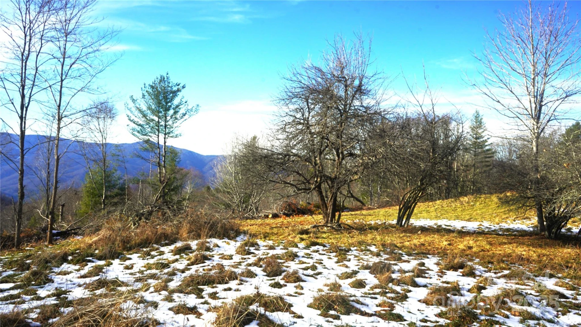 SR-1386 Sang Branch, Hog Branch Road - Photo 8