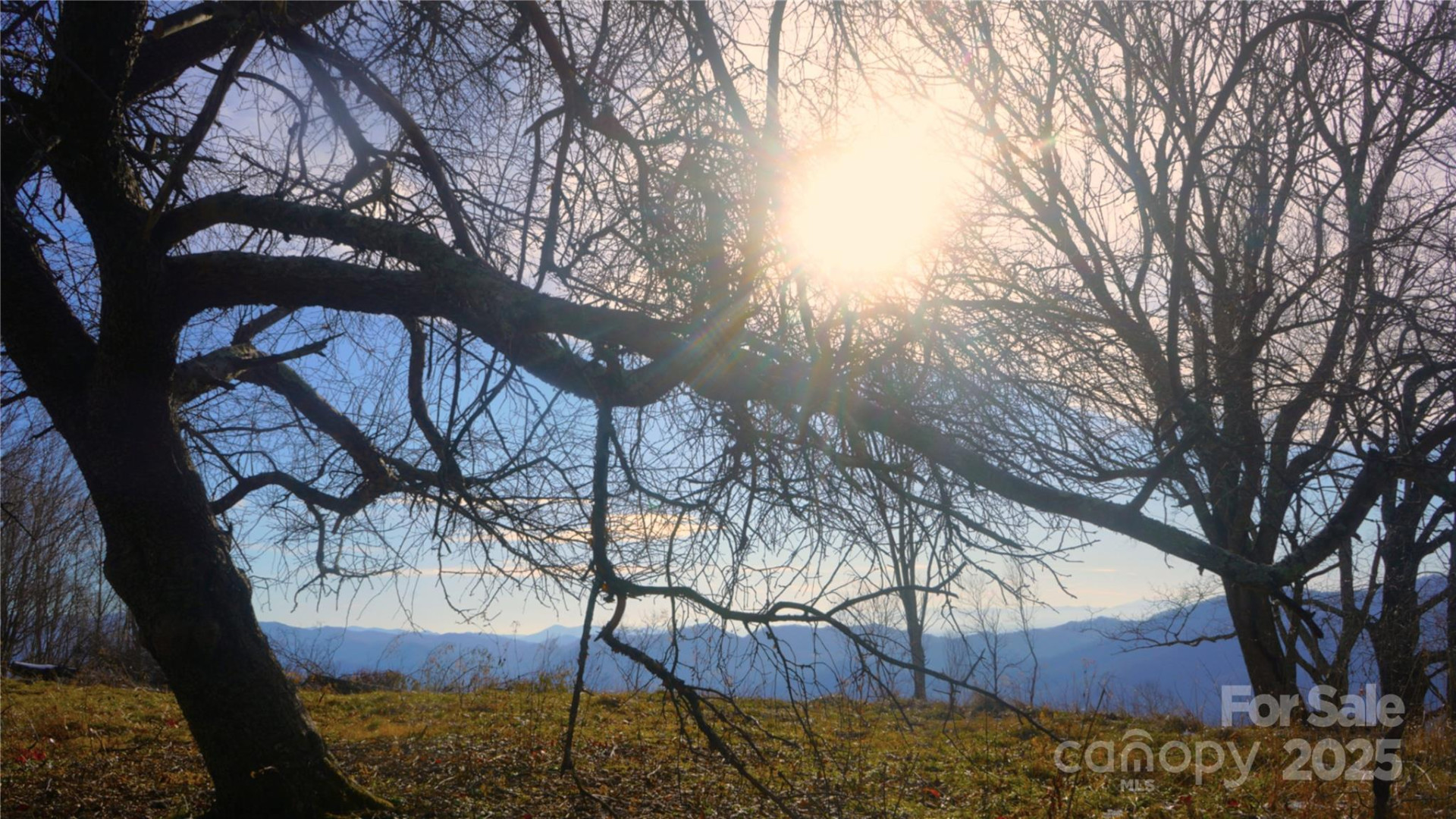 SR-1386 Sang Branch, Hog Branch Road - Photo 9