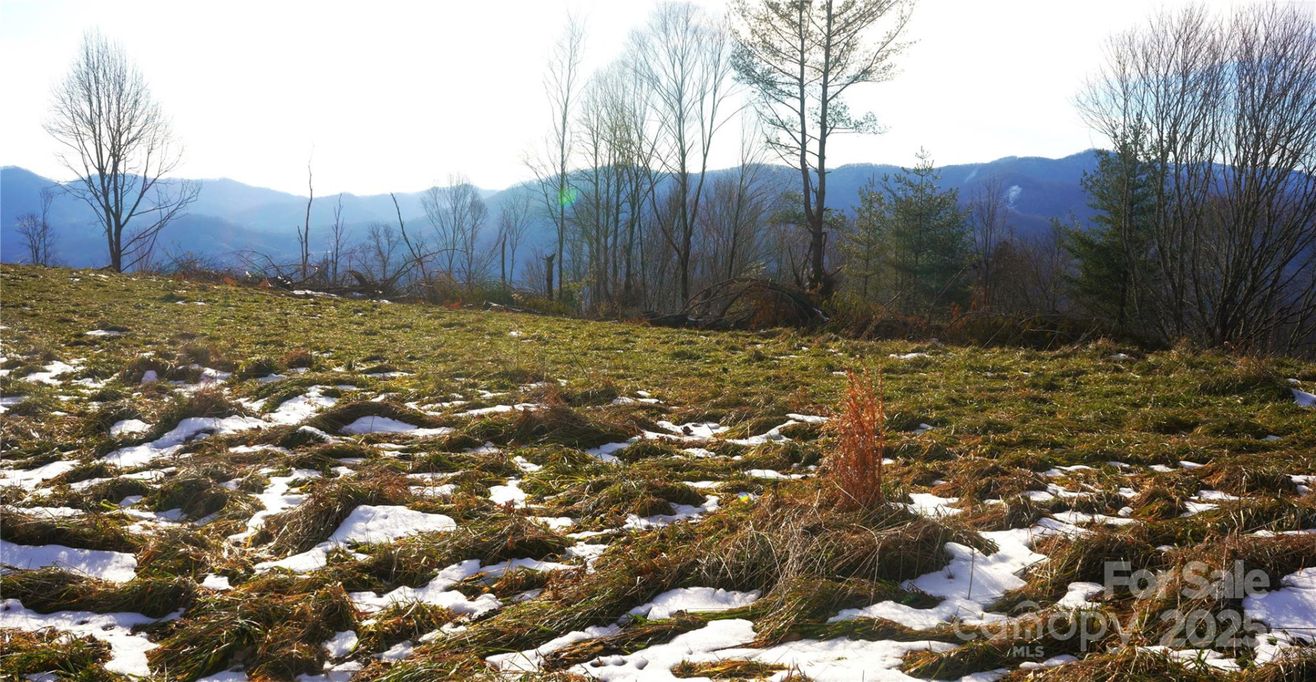 SR-1386 Sang Branch, Hog Branch Road - Photo 10