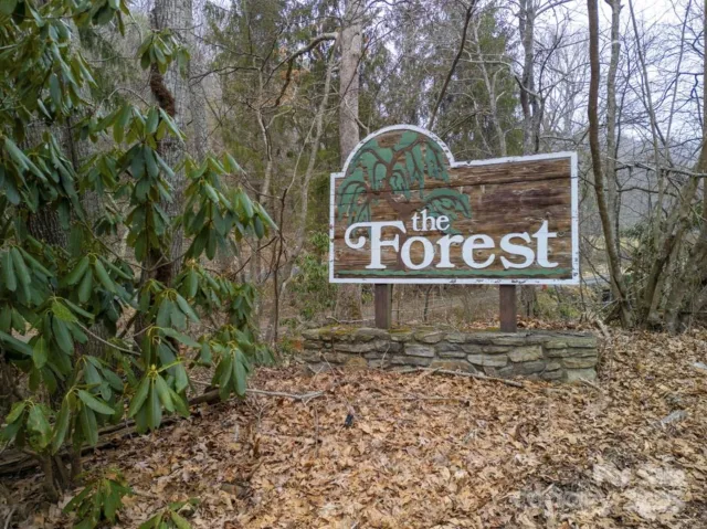 00 Seasons Drive, Clyde, NC, 28721