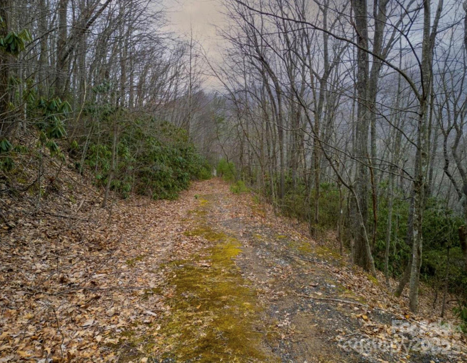 00 Seasons Drive #Lot 43 - Photo 5