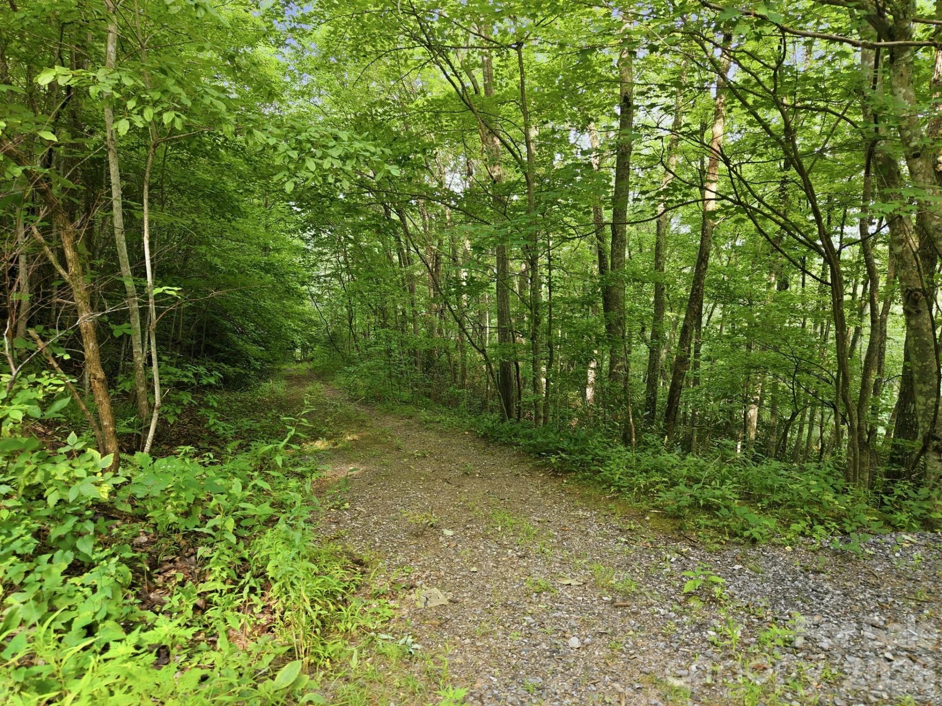 00 Seasons Drive #Lot 43 - Photo 4
