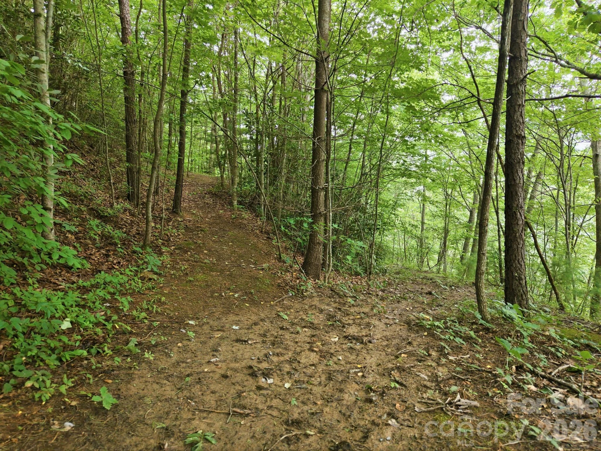 00 Seasons Drive #Lot 43 - Photo 14