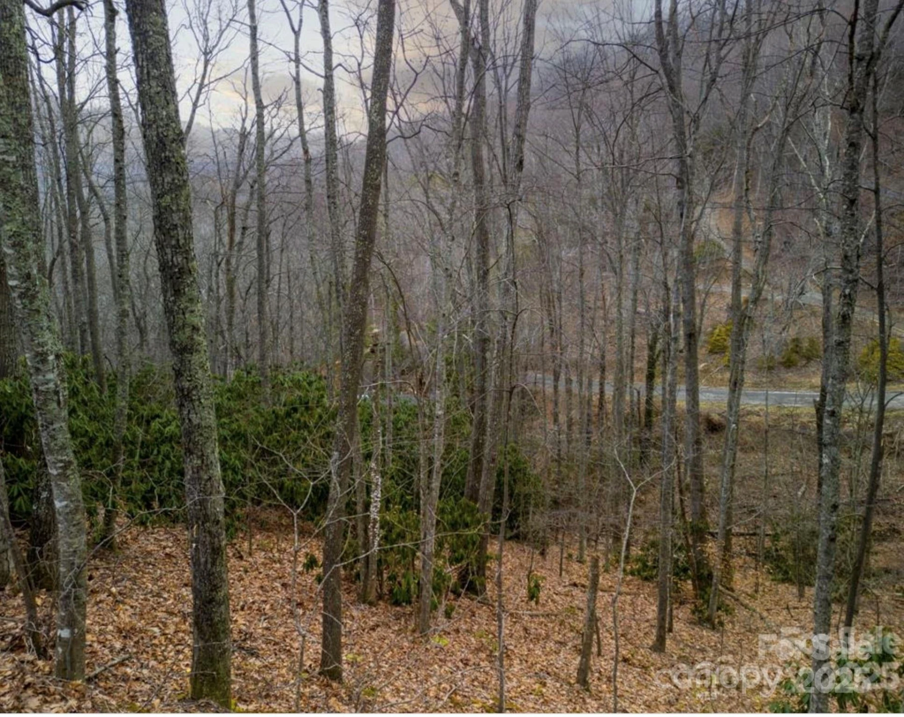 00 Seasons Drive #Lot 43 - Photo 6