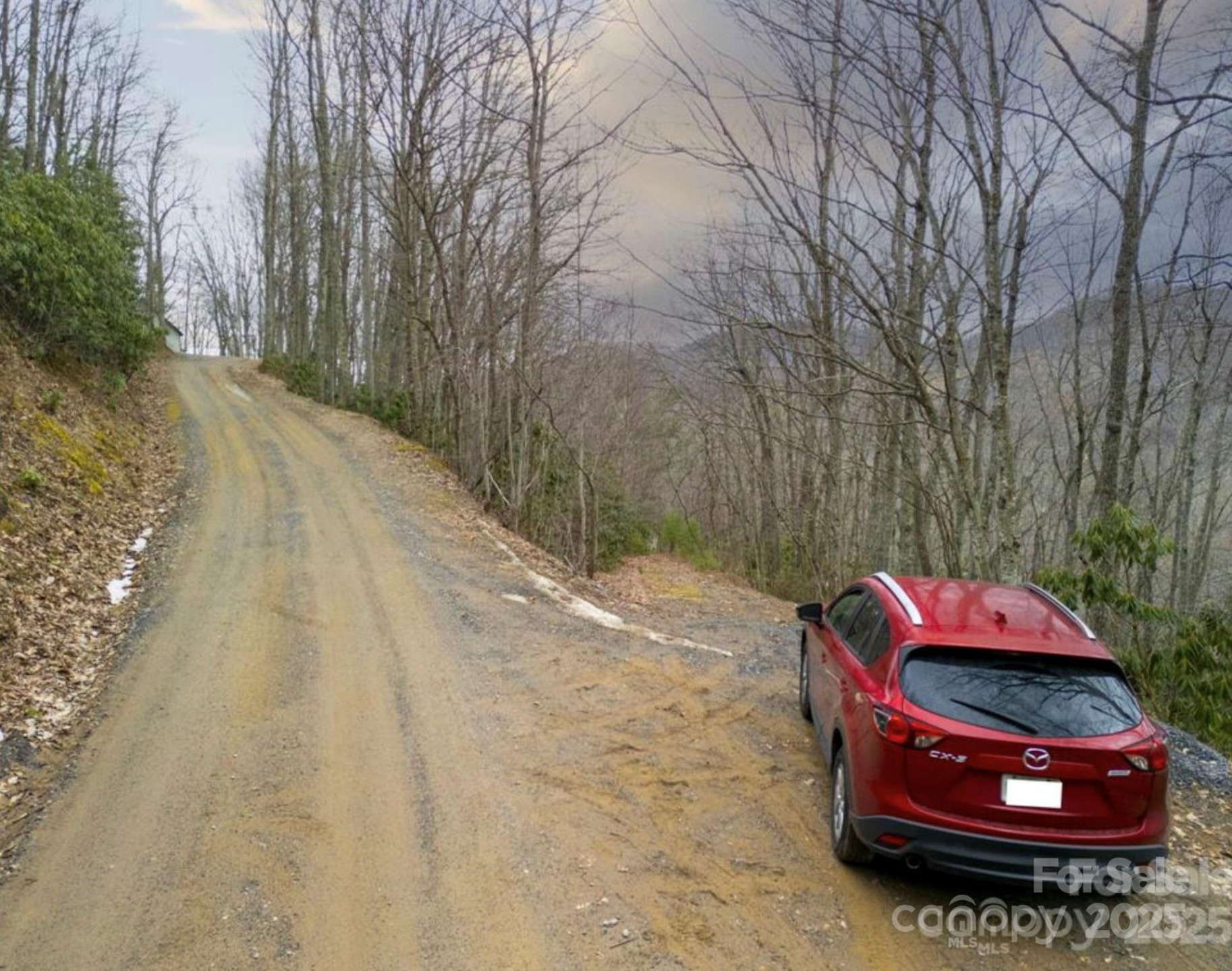 00 Seasons Drive #Lot 43 - Photo 9