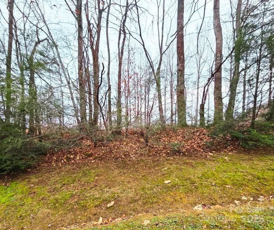 0 Dragonfly Court #Lot 3 - Photo 11