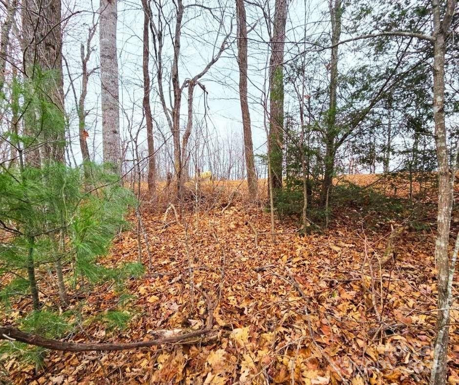 0 Dragonfly Court #Lot 3 - Photo 12