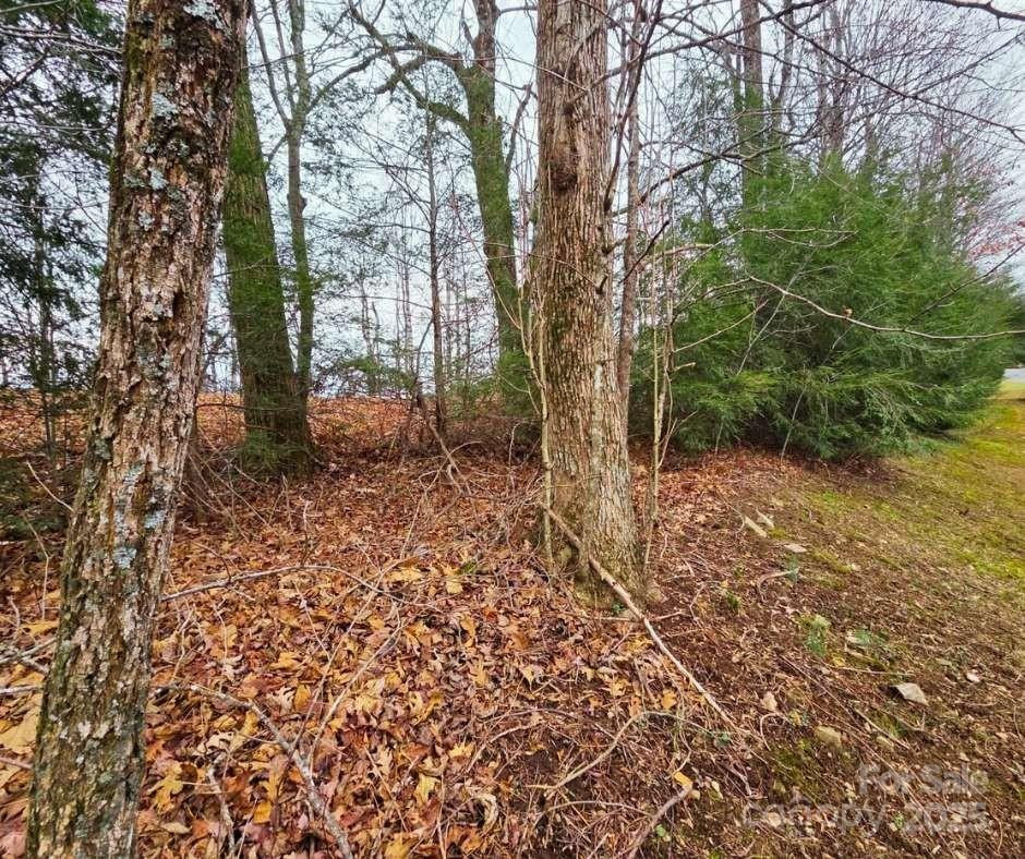 0 Dragonfly Court #Lot 3 - Photo 13