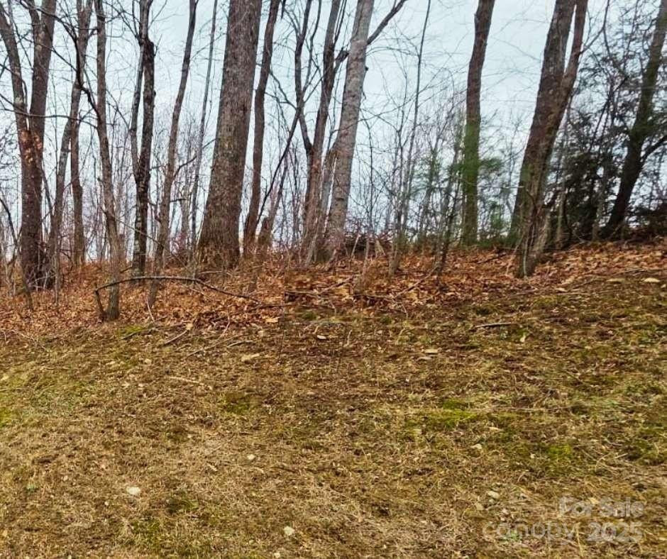 0 Dragonfly Court #Lot 3 - Photo 14