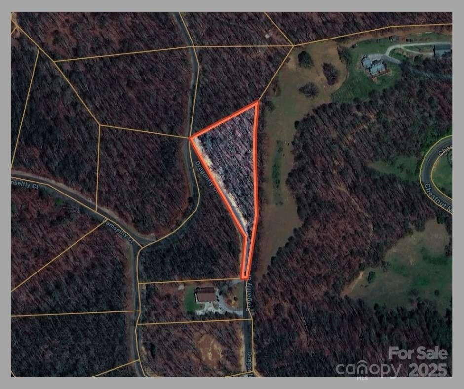 0 Dragonfly Court #Lot 3 - Photo 15