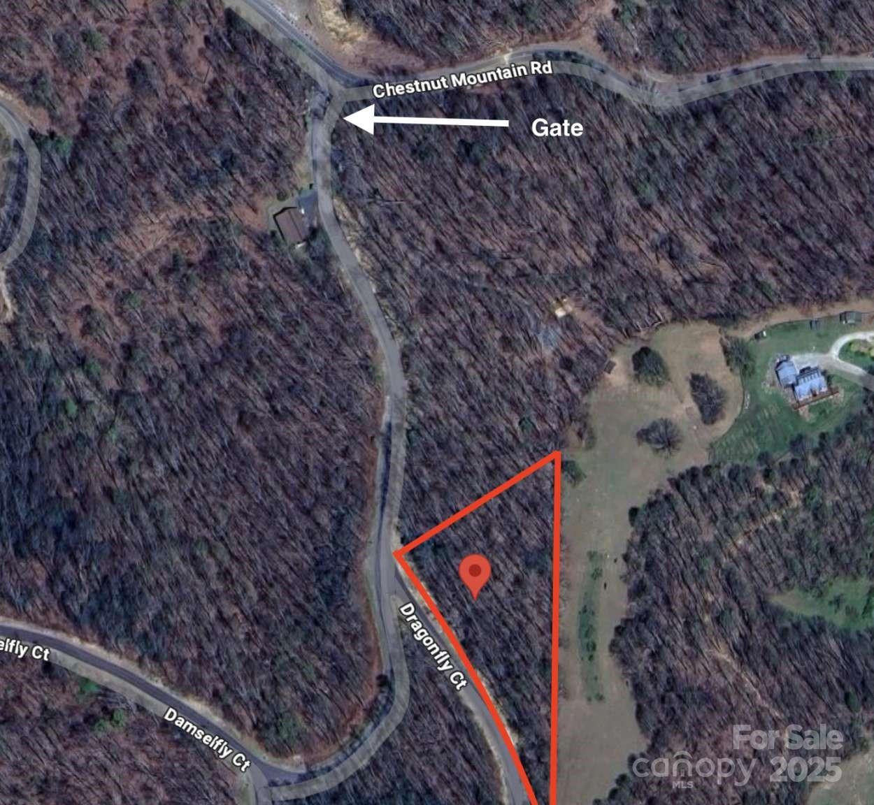 0 Dragonfly Court #Lot 3 - Photo 20