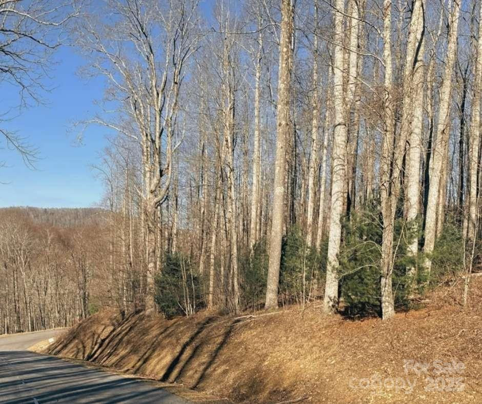 0 Dragonfly Court #Lot 3 - Photo 3