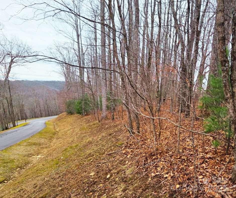 0 Dragonfly Court #Lot 3 - Photo 4