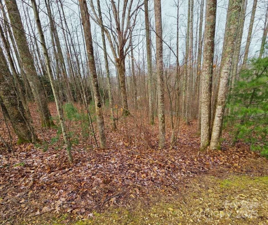 0 Dragonfly Court #Lot 3 - Photo 6