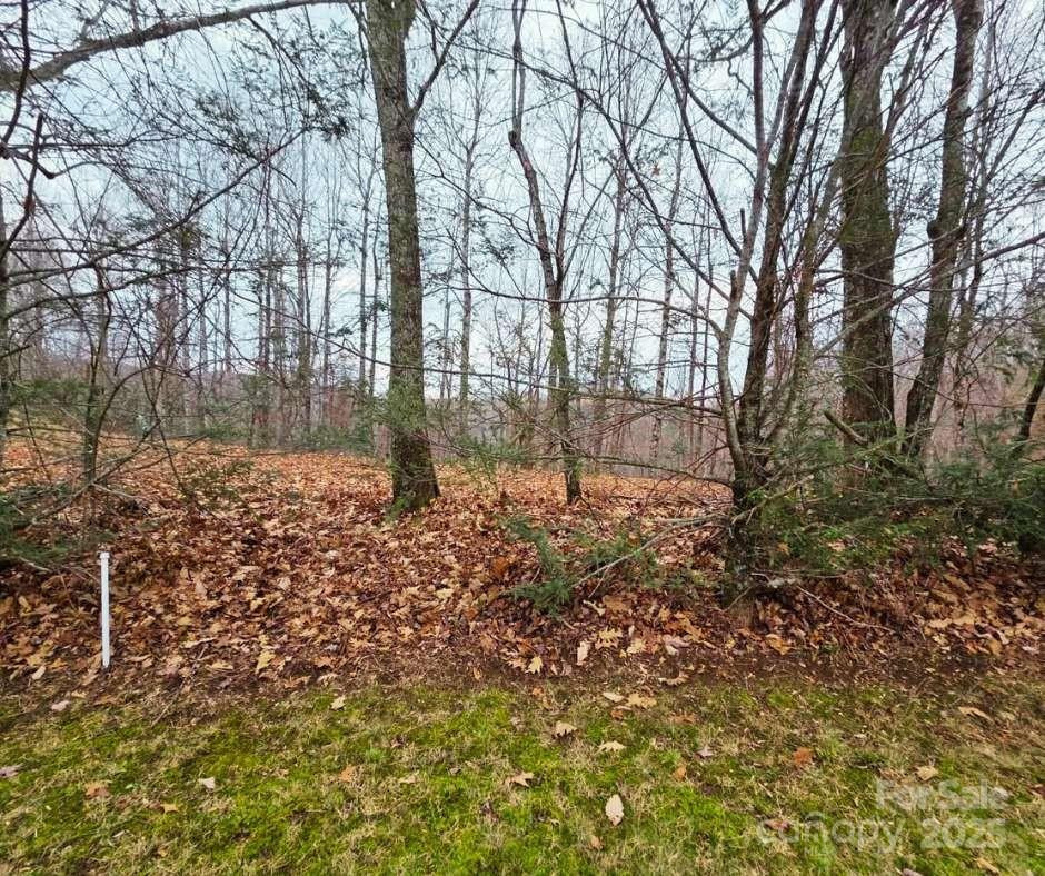 0 Dragonfly Court #Lot 3 - Photo 7