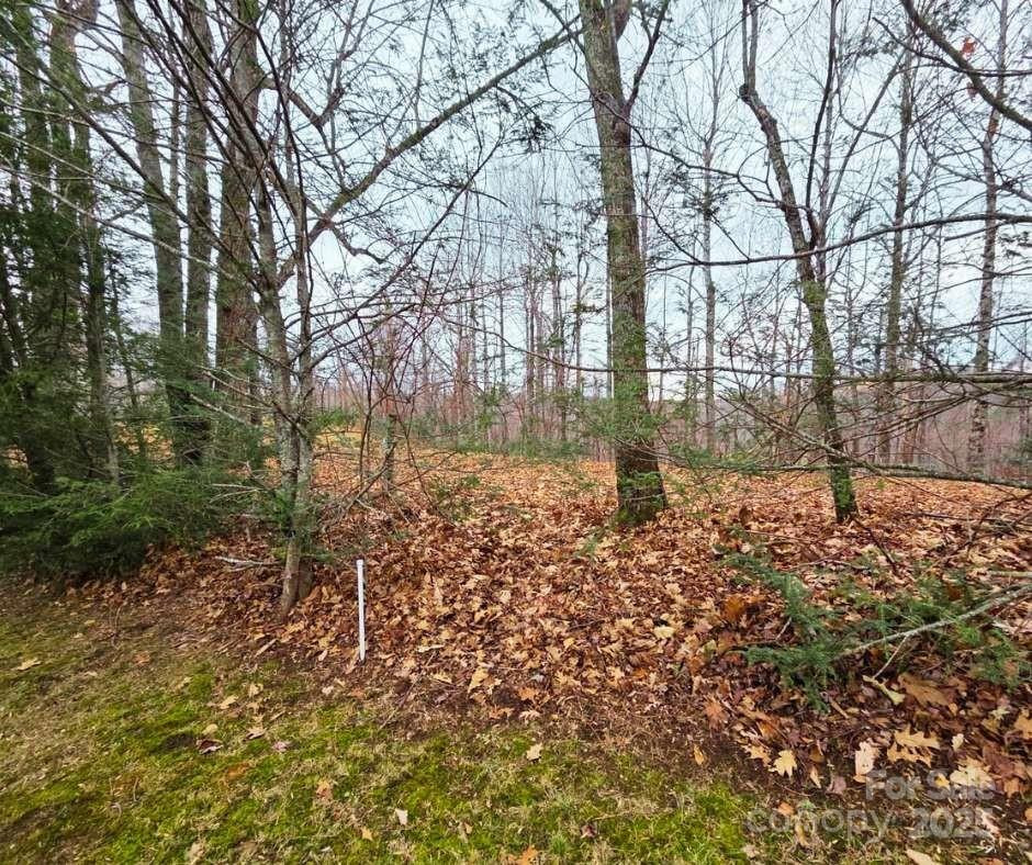 0 Dragonfly Court #Lot 3 - Photo 8