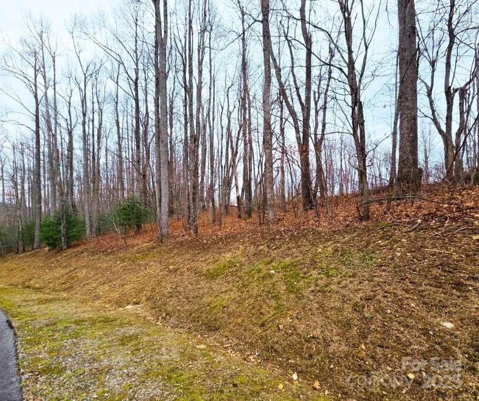 0 Dragonfly Court #Lot 3 - Photo 9