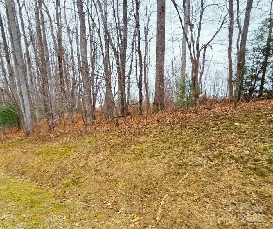 0 Dragonfly Court #Lot 3 - Photo 10