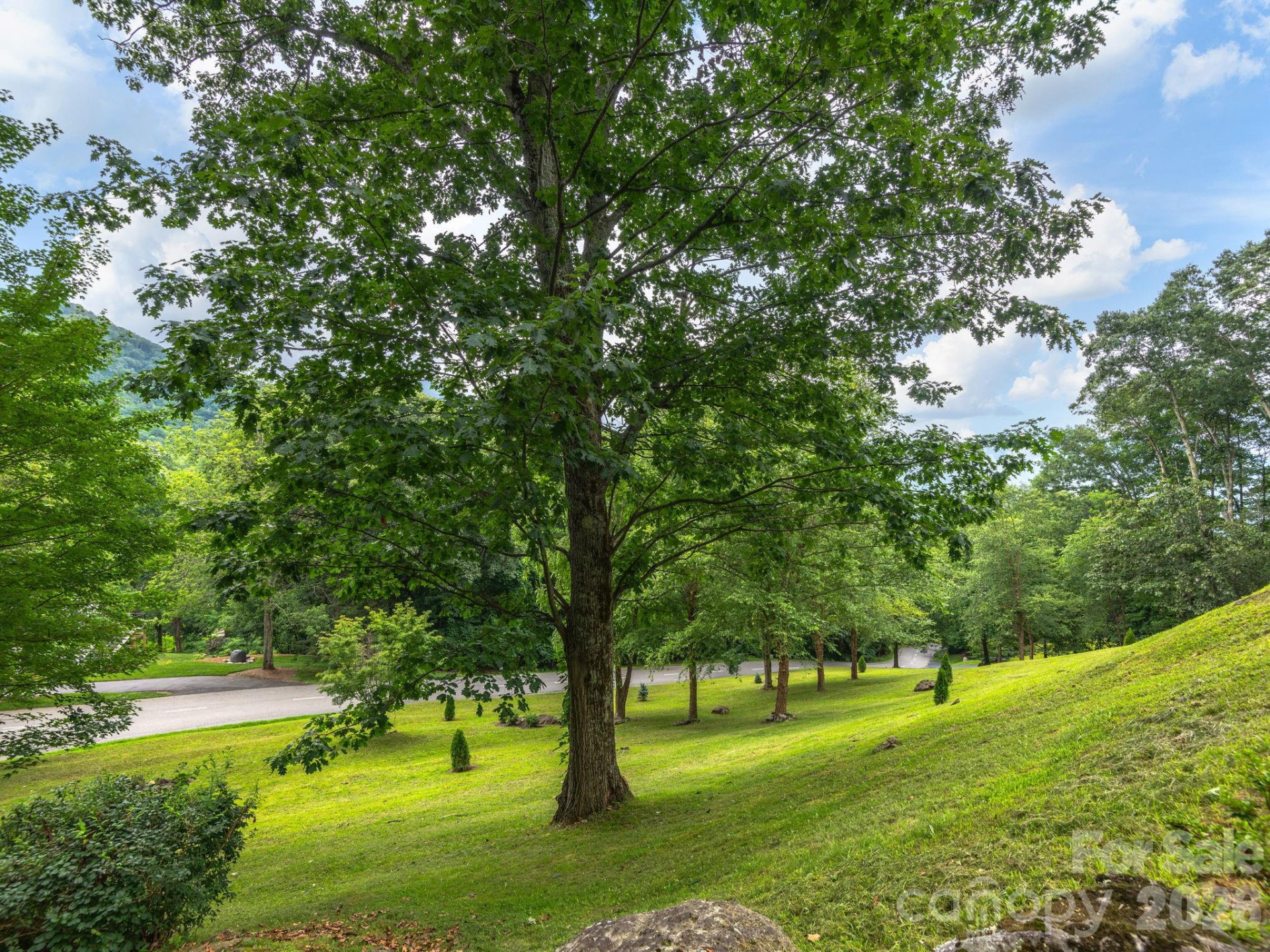 37 Enclave Drive - Photo 39