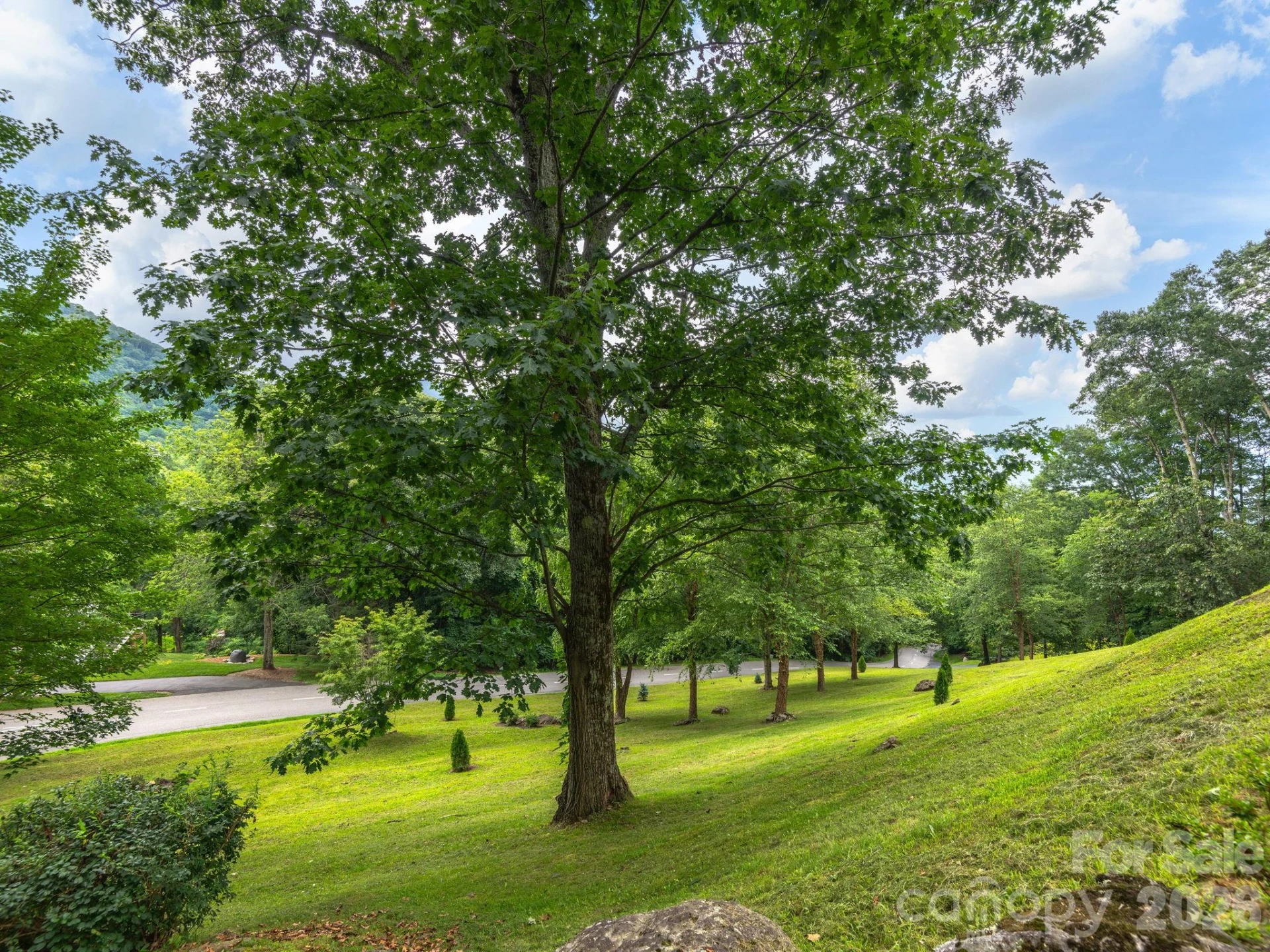 37 Enclave Drive - Photo 39