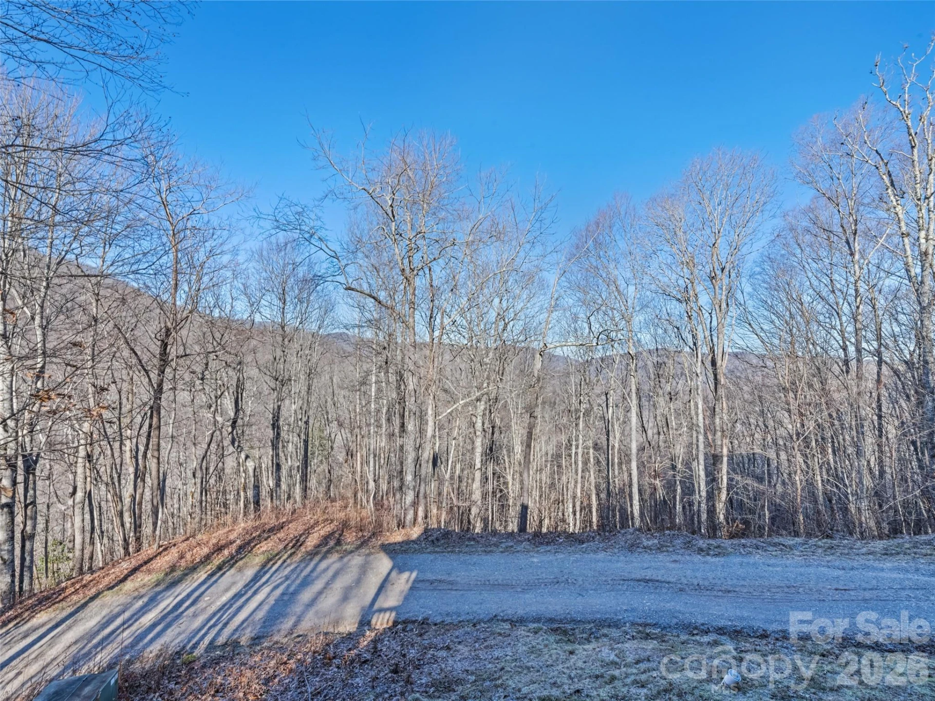 171 Sharons Bluff - Photo 42