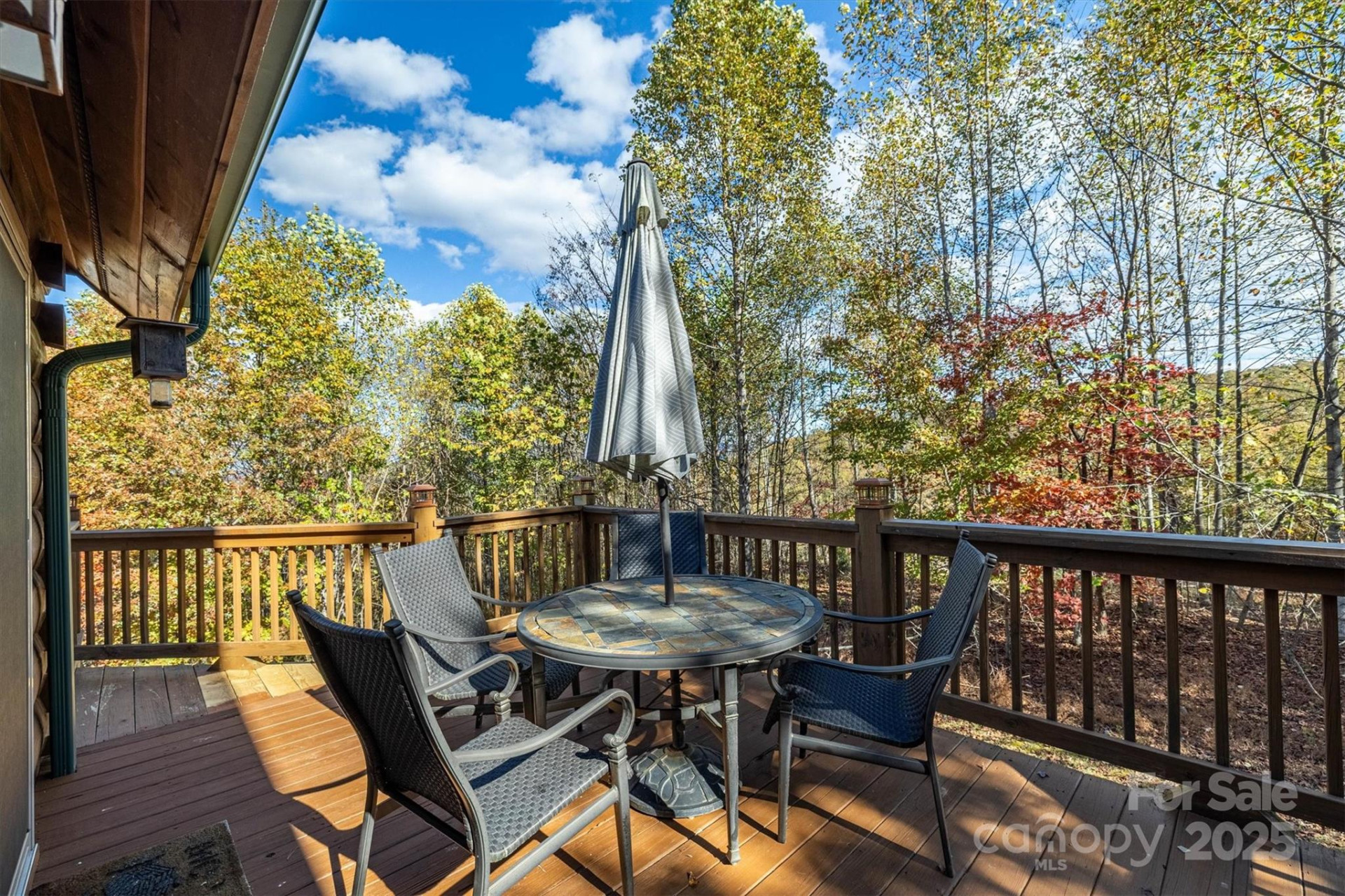 1143 Grandview Peaks Drive - Photo 11