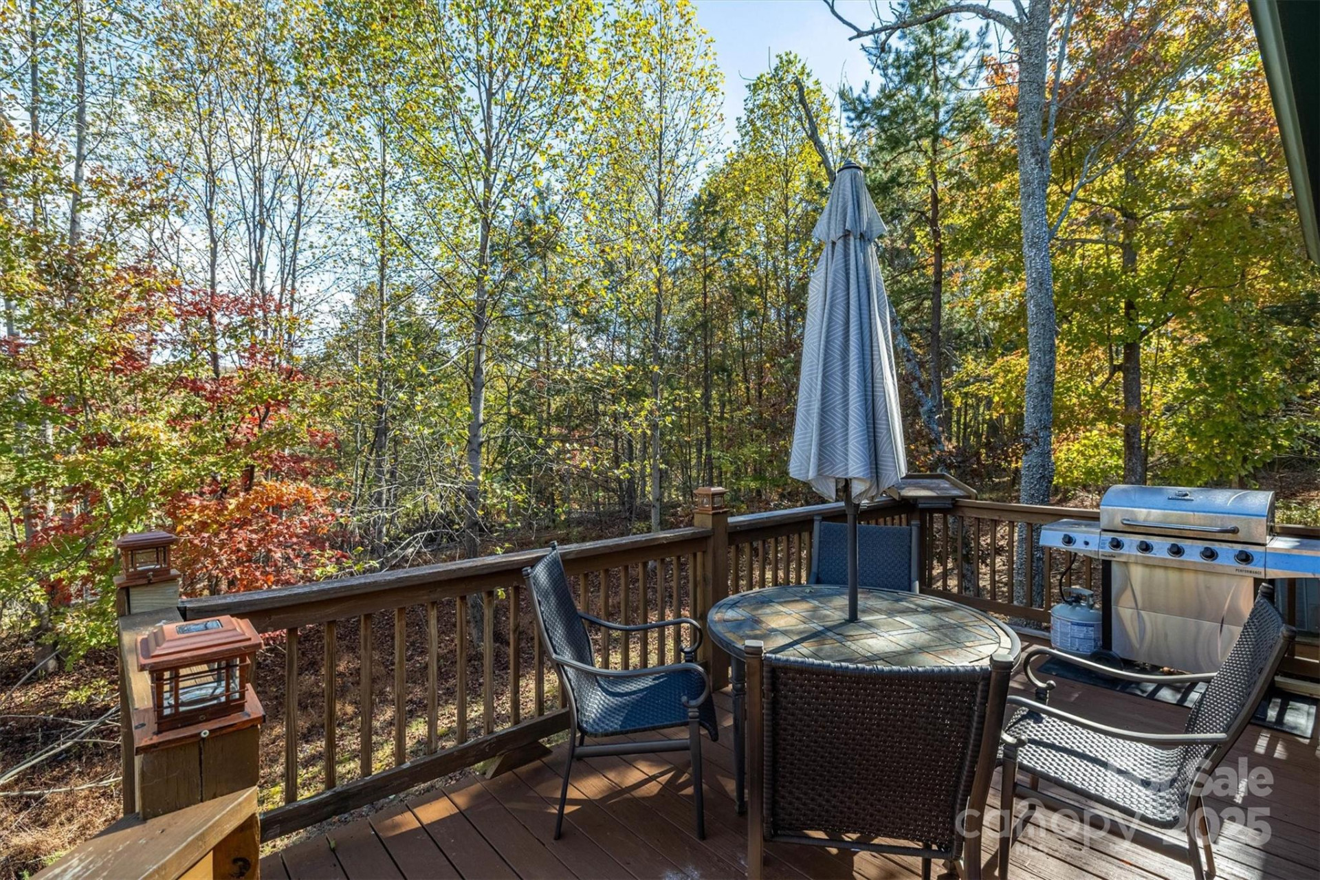 1143 Grandview Peaks Drive - Photo 12