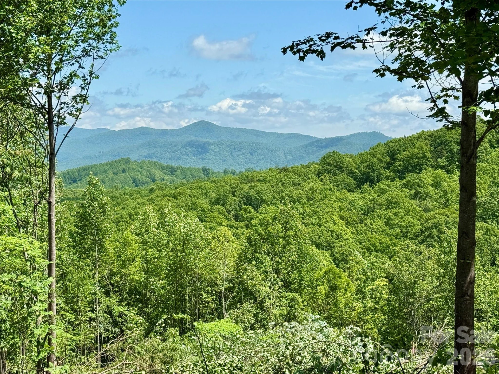 1143 Grandview Peaks Drive - Photo 3