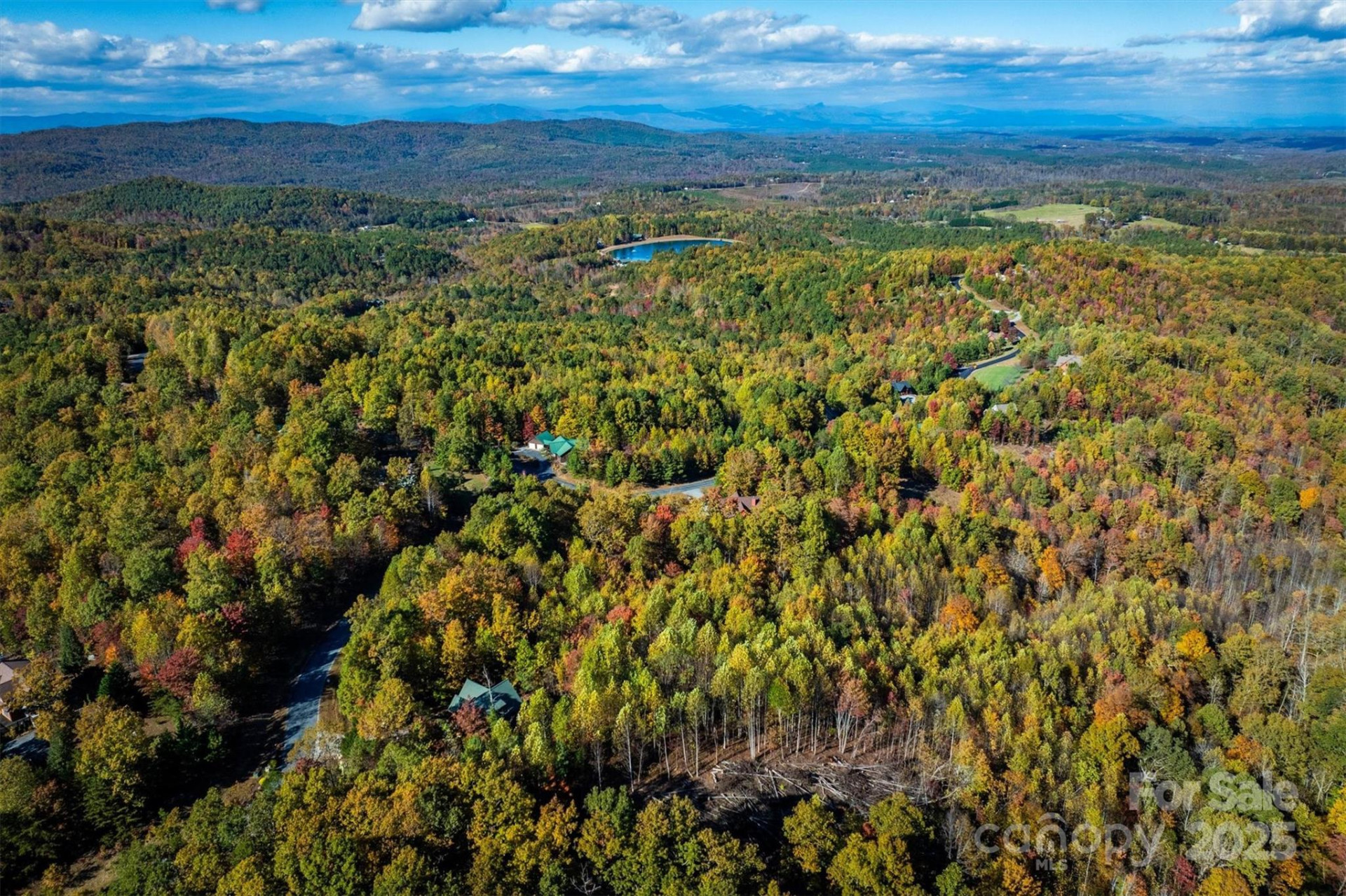 1143 Grandview Peaks Drive - Photo 6