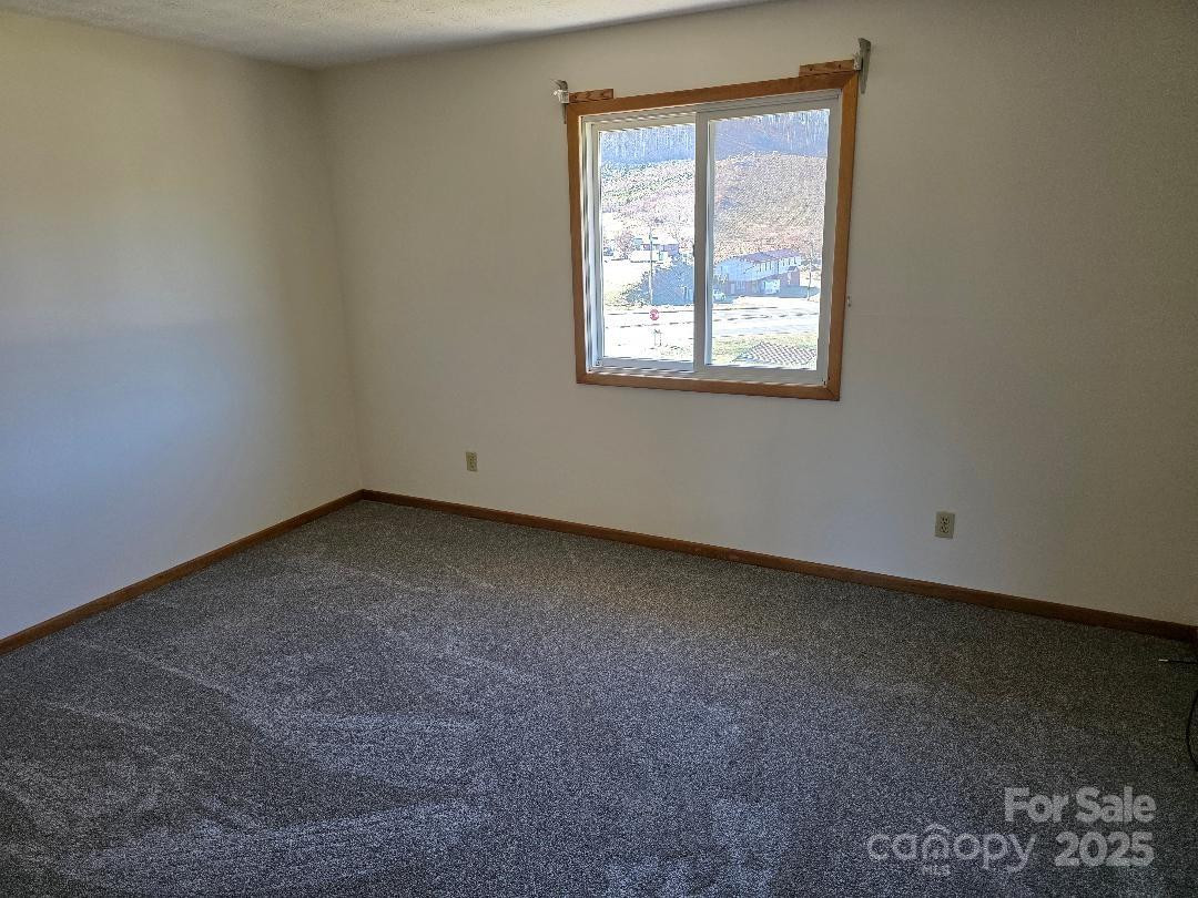 1375 US Highway 19E Highway - Photo 21