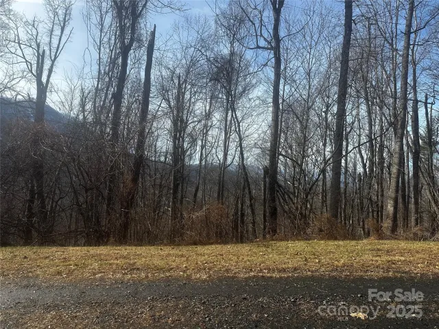 0 Wild Turkey Road