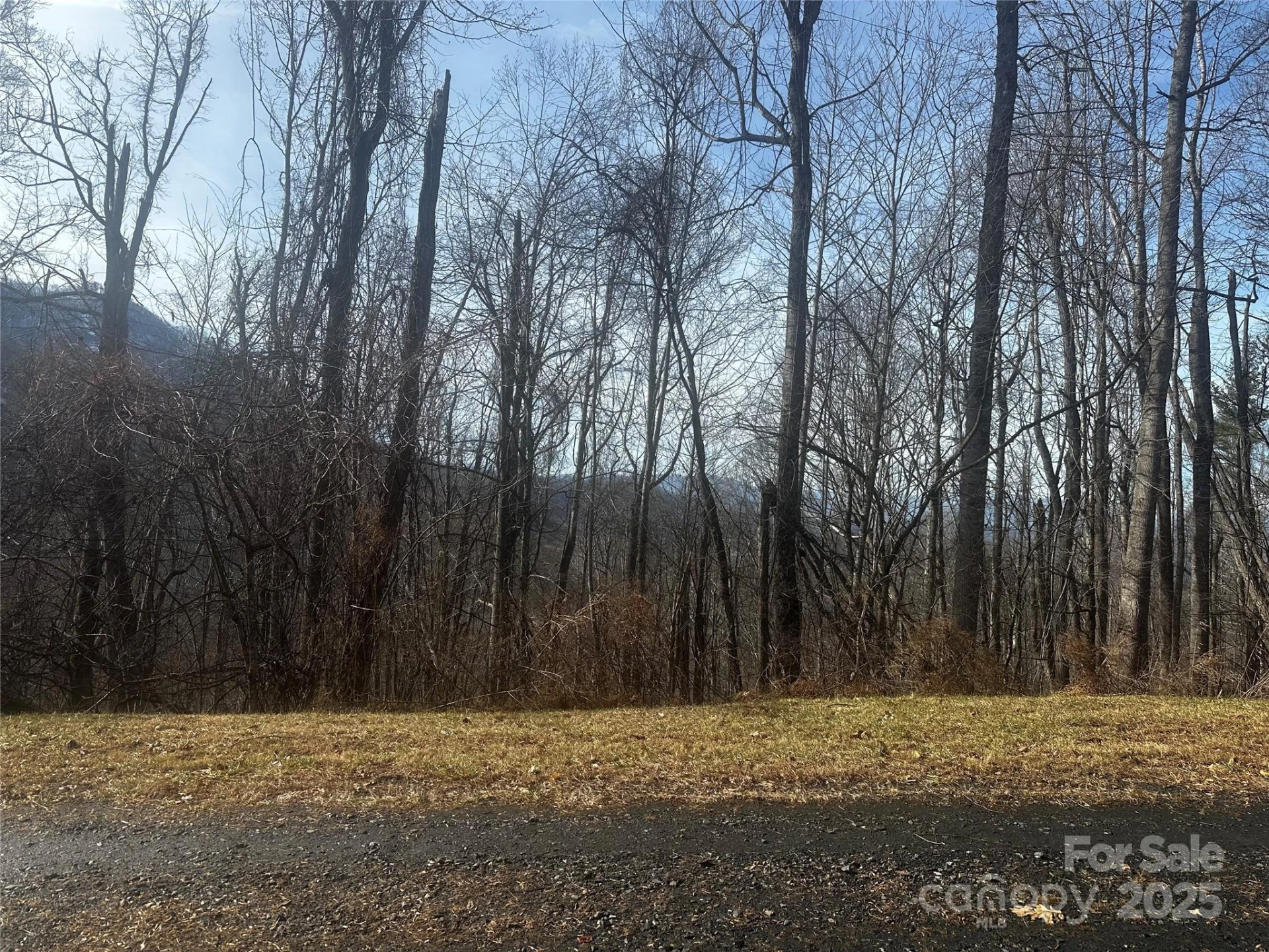 0 Wild Turkey Road #21