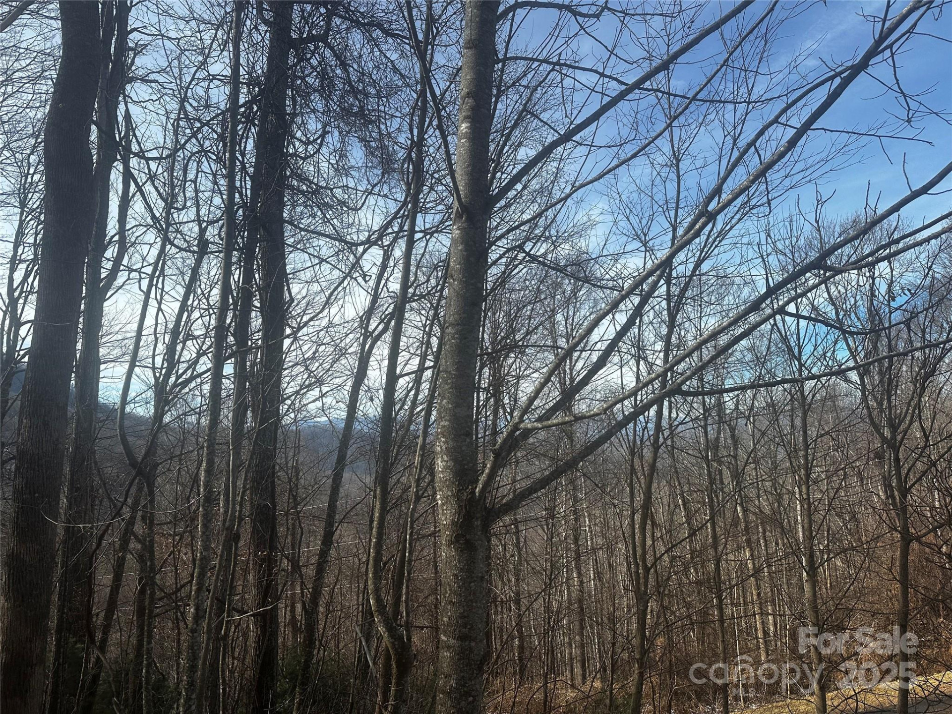 0 Wild Turkey Road #21 - Photo 2