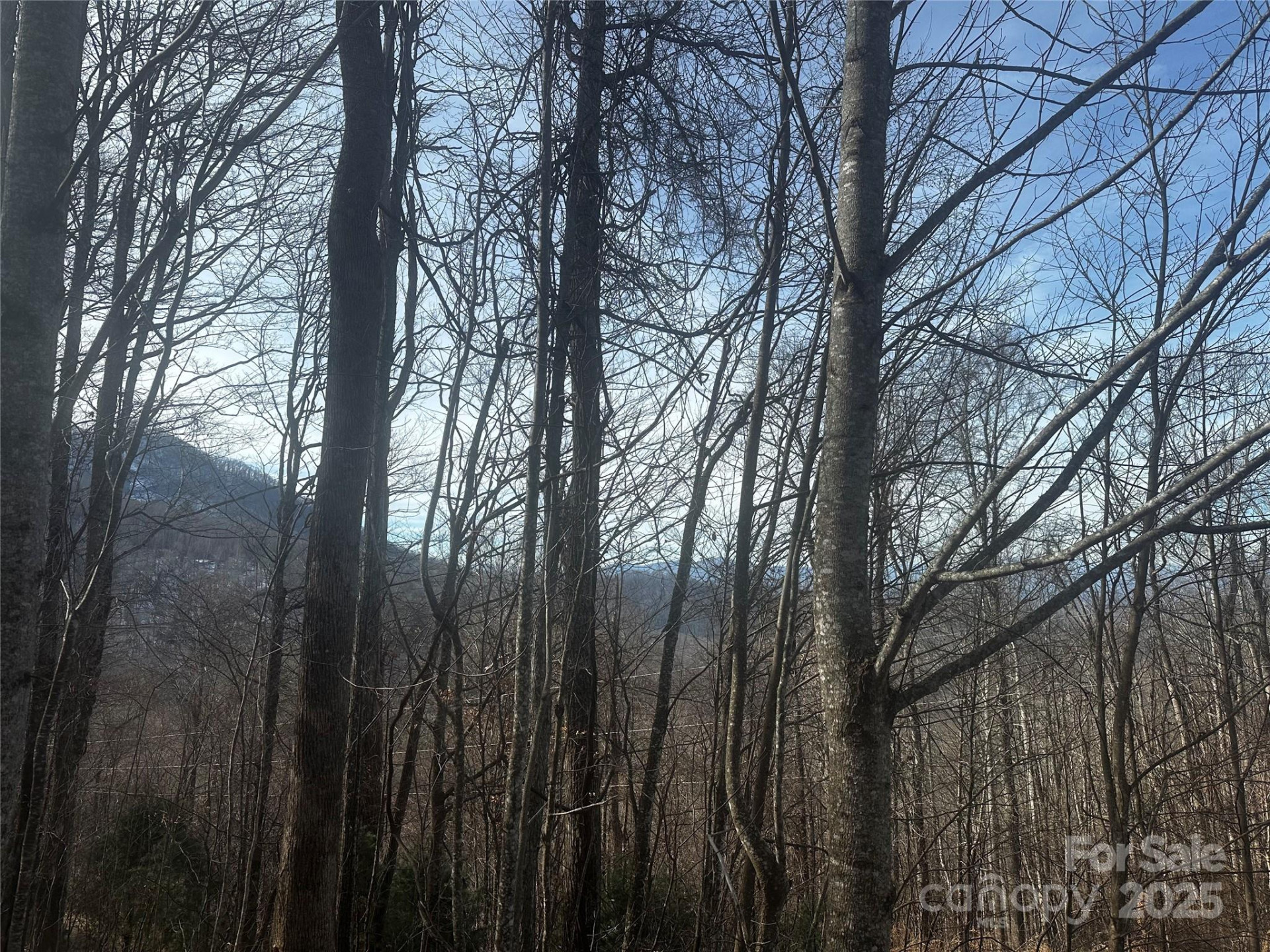 0 Wild Turkey Road #21 - Photo 3