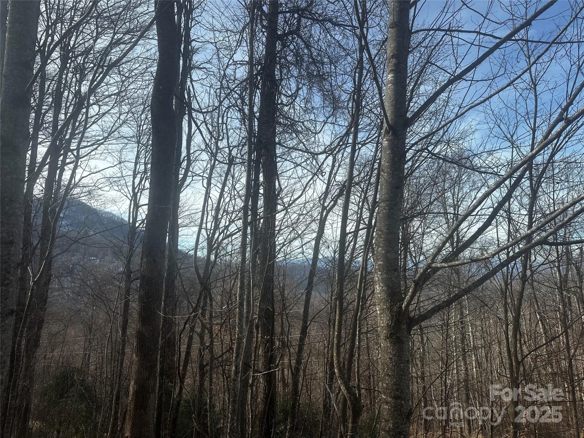 0 Wild Turkey Road #21 - Photo 3