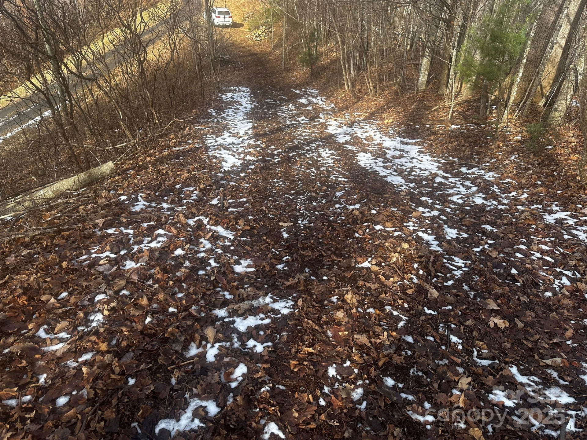 0 Wild Turkey Road #21 - Photo 4