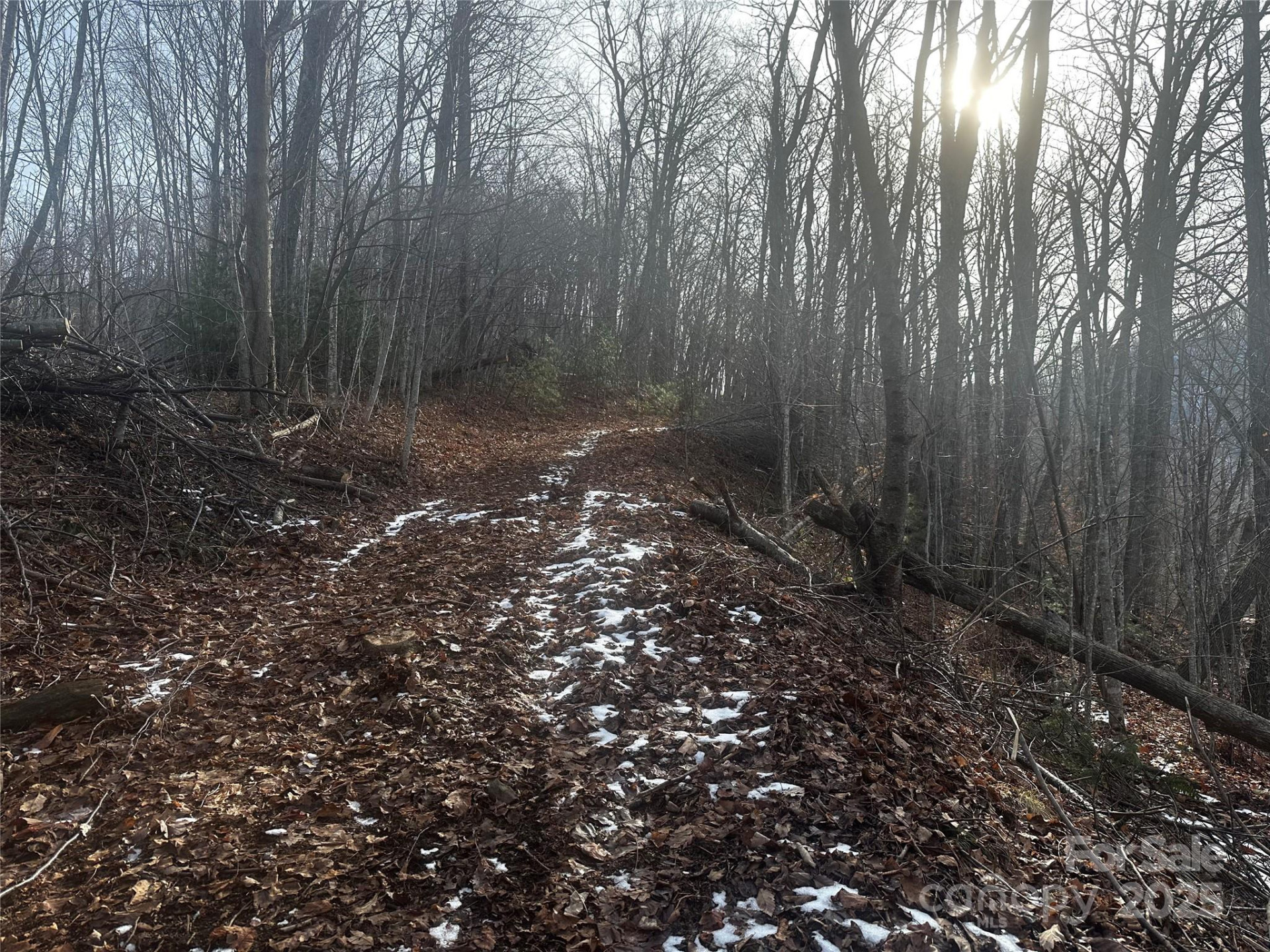 0 Wild Turkey Road #21 - Photo 5