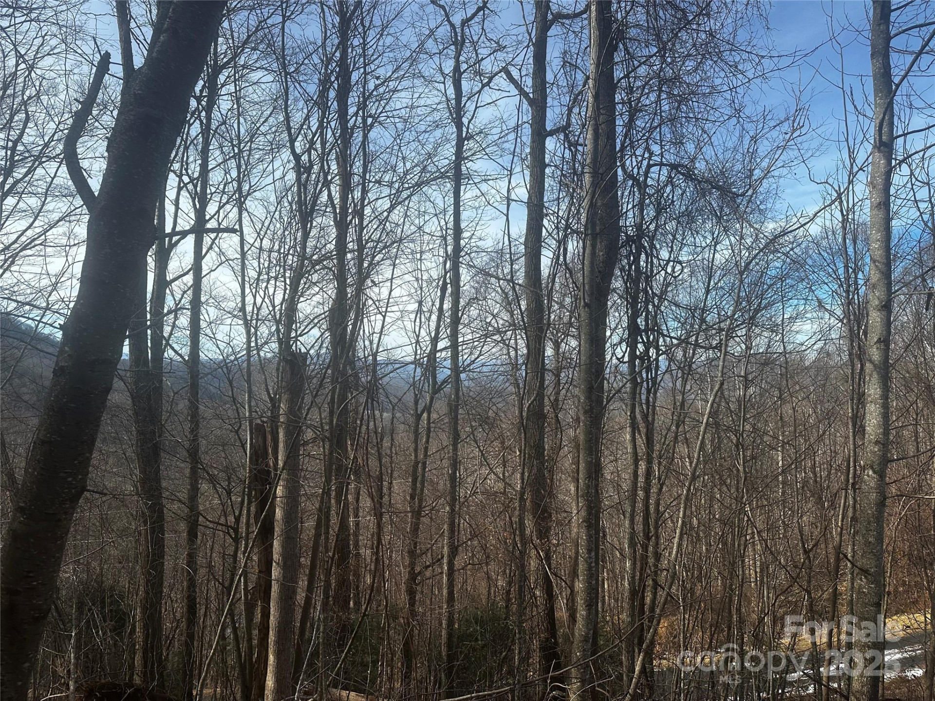 0 Wild Turkey Road #21 - Photo 6