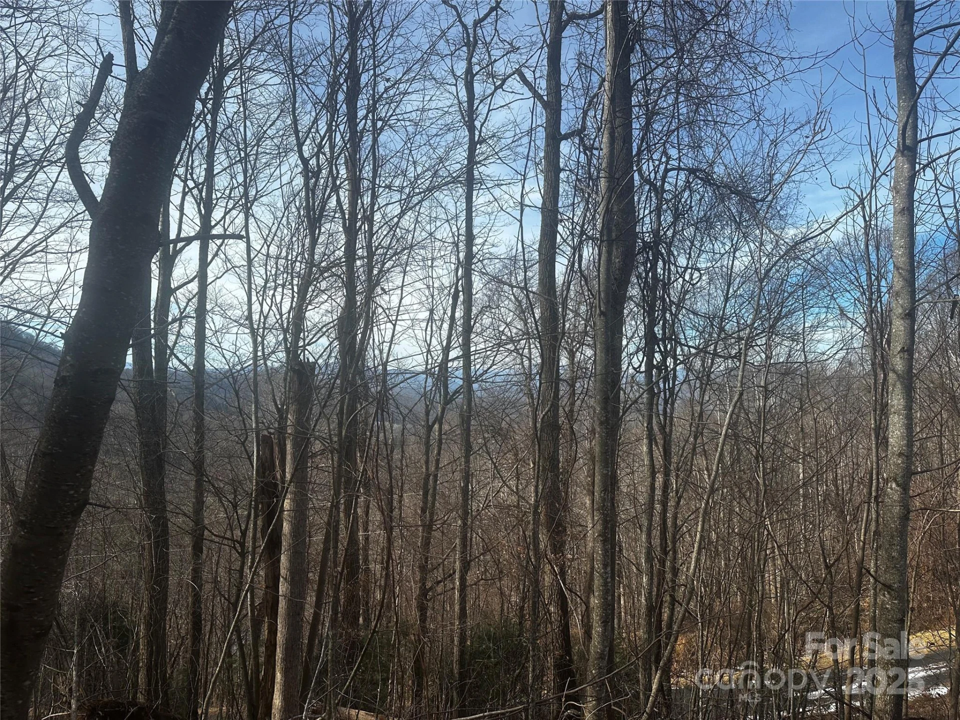 0 Wild Turkey Road #21 - Photo 6