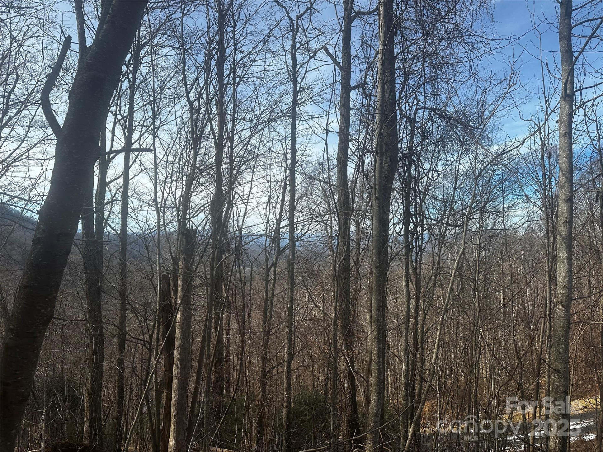 0 Wild Turkey Road #21 - Photo 7