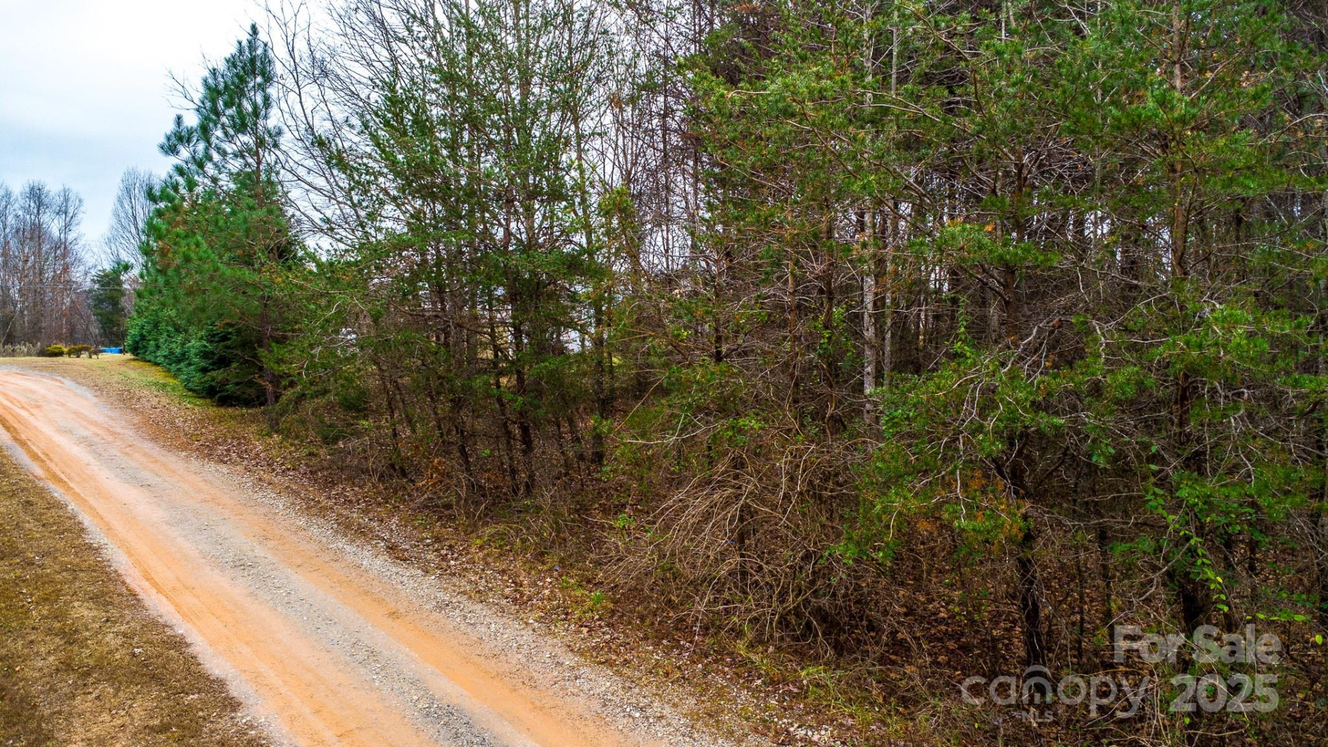 5264 Matthews Pond Road - Photo 15