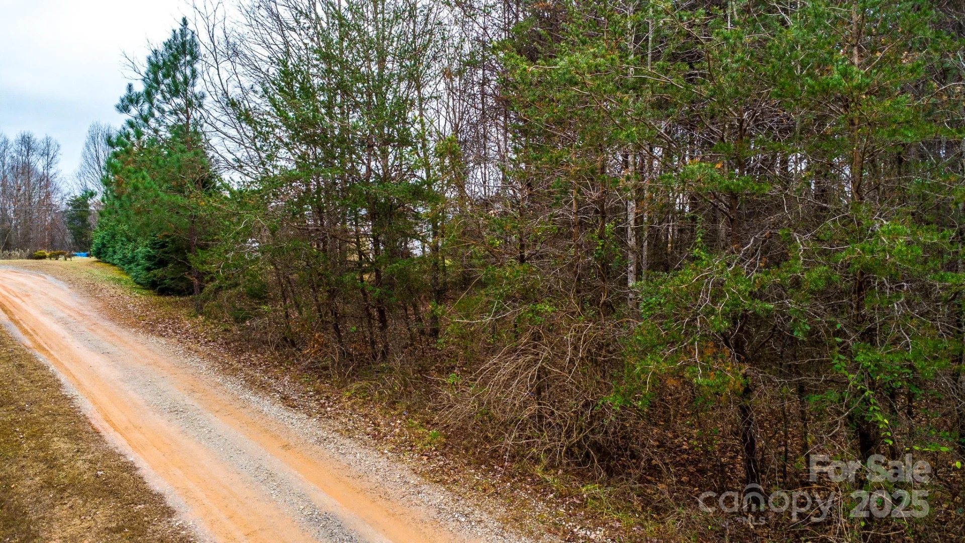 5264 Matthews Pond Road - Photo 15