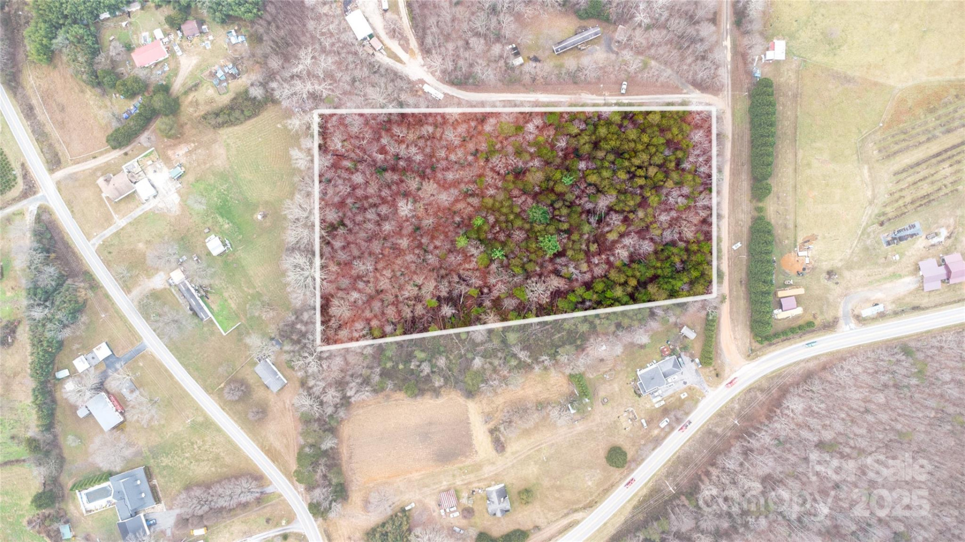 5264 Matthews Pond Road - Photo 4